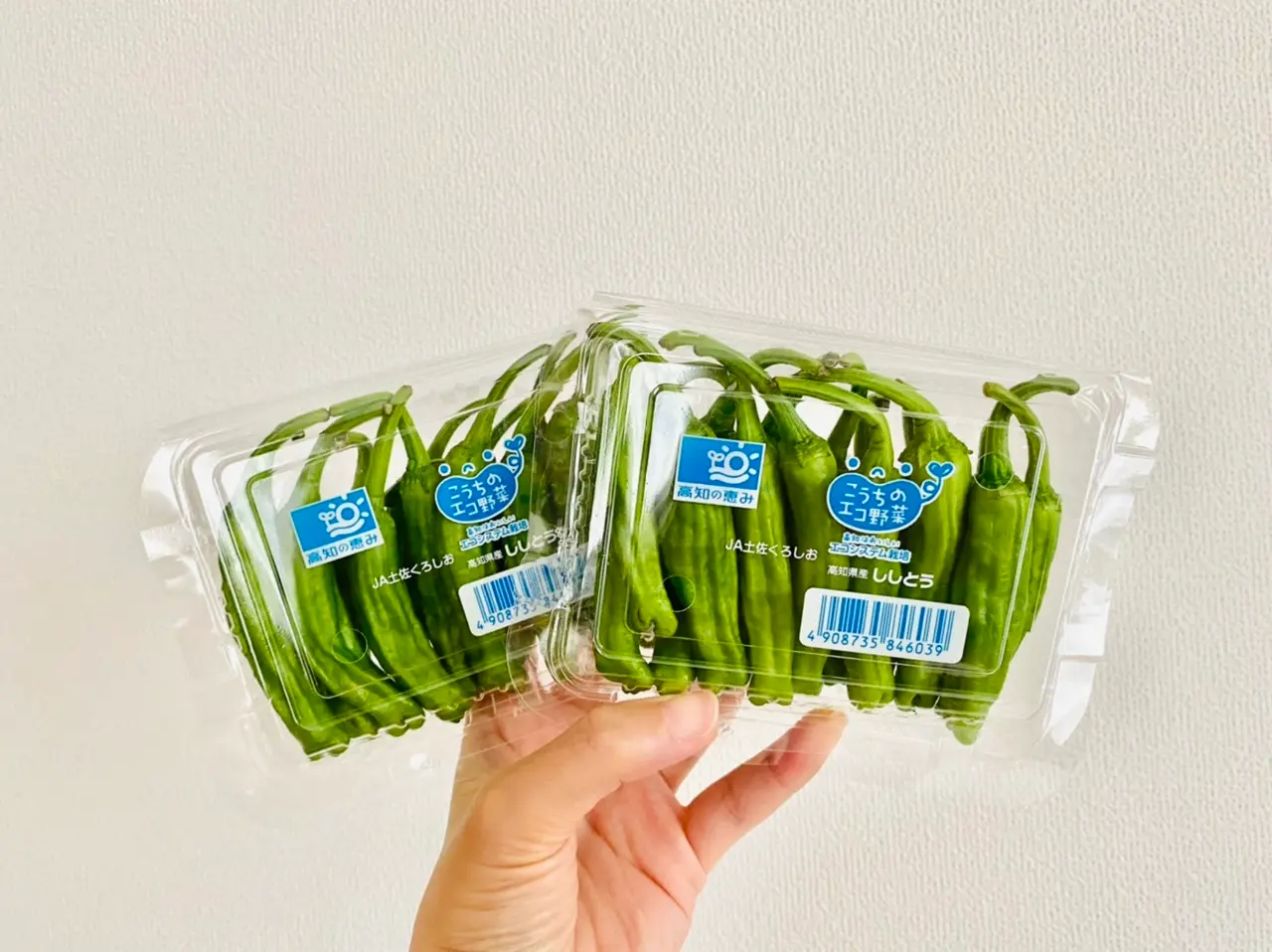 【作り置きおかず】お弁当に大活躍!1つの食材をアレンジして4品★使い切りレシピをご紹介♡〜第58弾〜_2