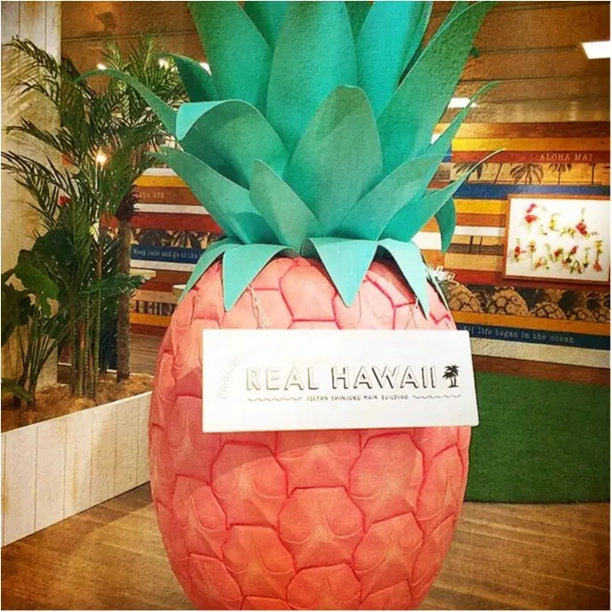 東京のど真ん中でHAWAIIを満喫!ハワイで大人気のドリンクを東京でっっ!_1