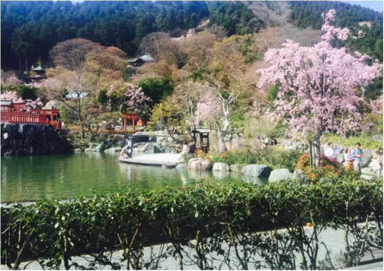 お花見するならピンクをリンク!コーデも桜色にして春を楽しもう♡_3