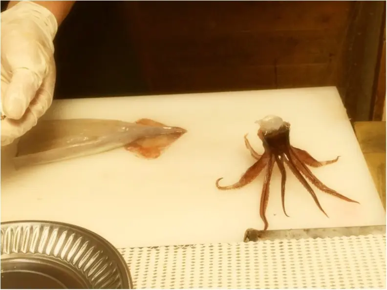 《夏の北海道・函館》朝市で【イカ釣り】体験!イカを釣って楽しく食べて美味しく♡*_7