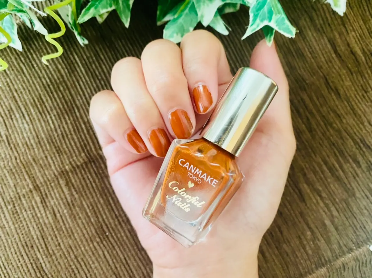 キャンメイク プチプラネイル新作 秋カラー シックボルドー が可愛すぎる Moreインフルエンサーズブログ Daily More