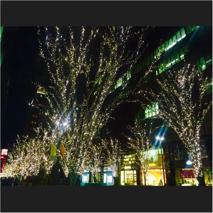 休日の夕方がおすすめ!♡丸の内イルミネーションにうっとり♡_2