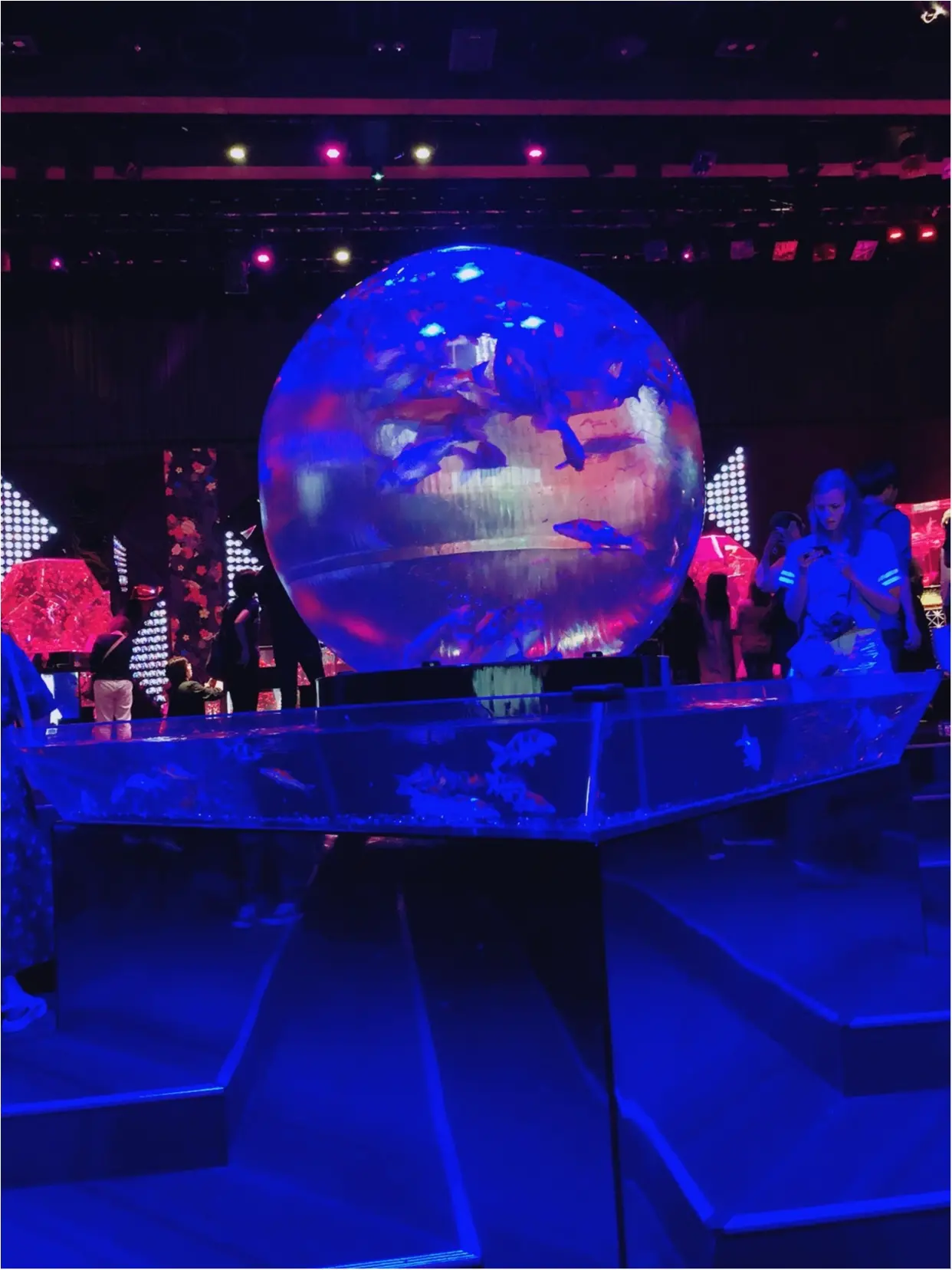 アートアクアリウム2018で金魚の癒し♡_3