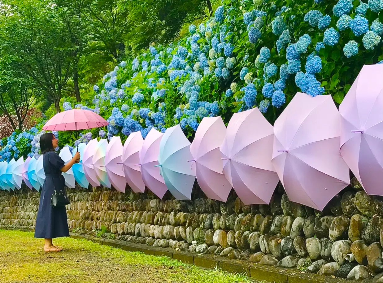 風鈴 あじさい 傘 風物詩が詰まったインスタ映えスポット 尊永寺 Moreインフルエンサーズブログ Daily More