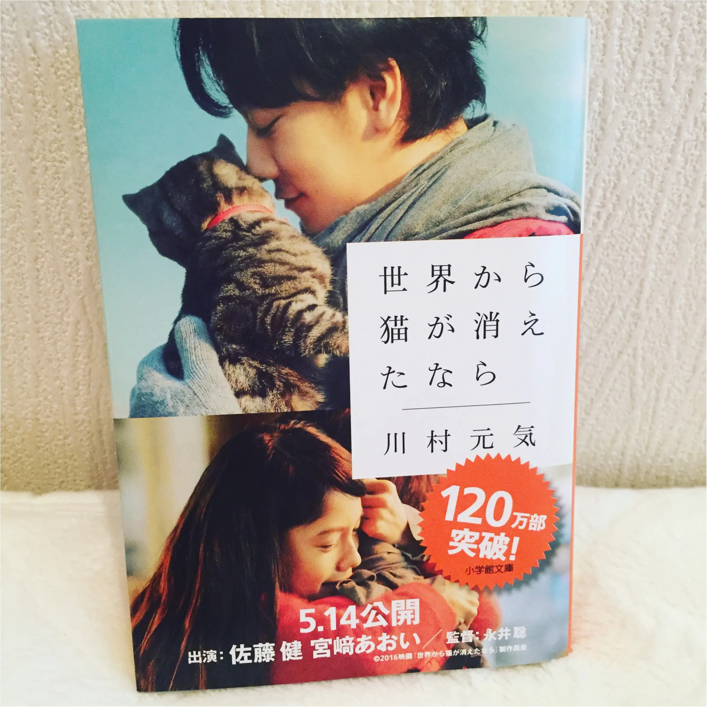 週末の映画鑑賞にいかが?話題作から最新作まで!見逃したくない【注目の映画TOP5】✨✨_5