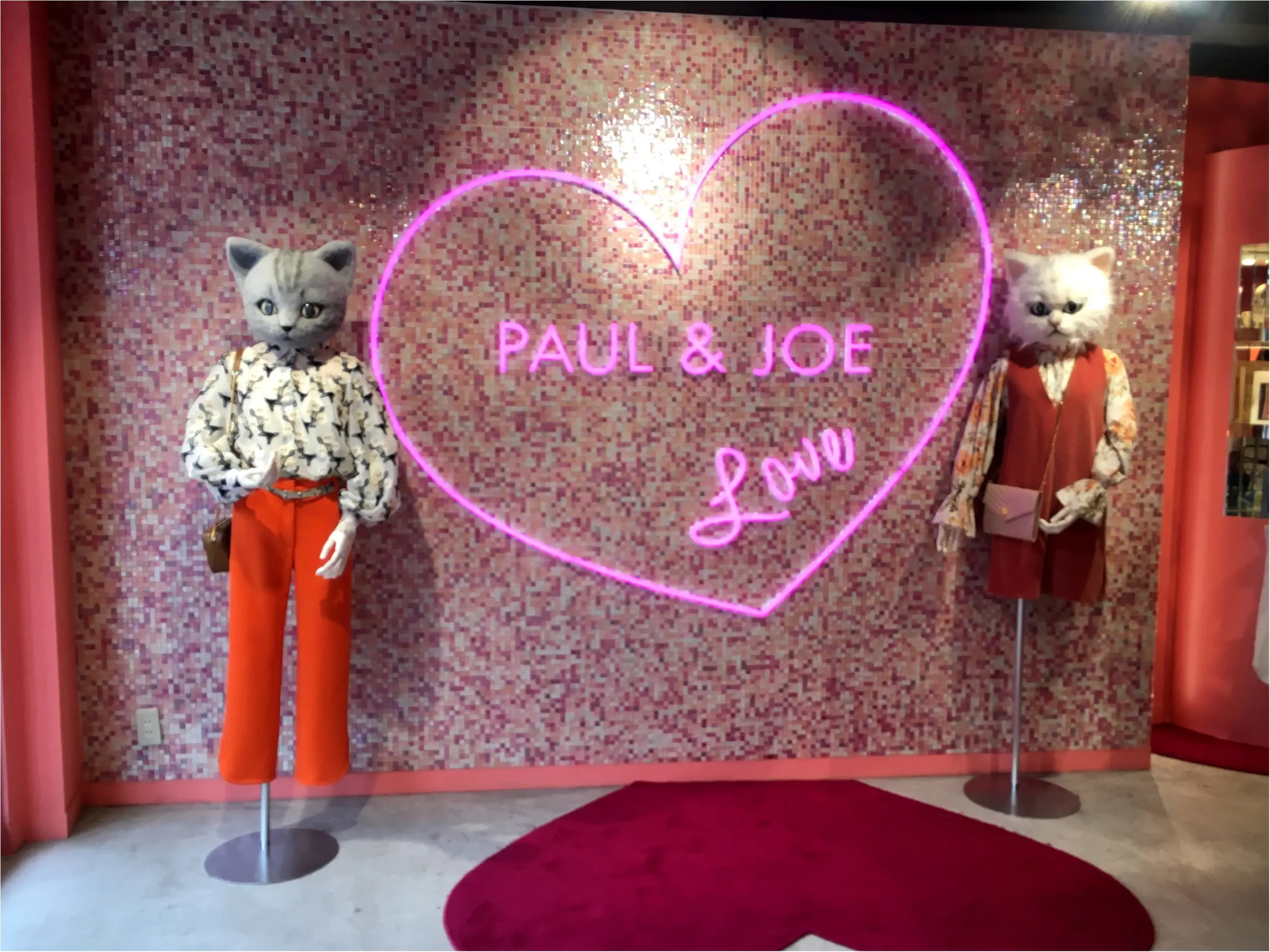 お店がフォトジェニック!【PAUL&JOEキャットストリート】_5