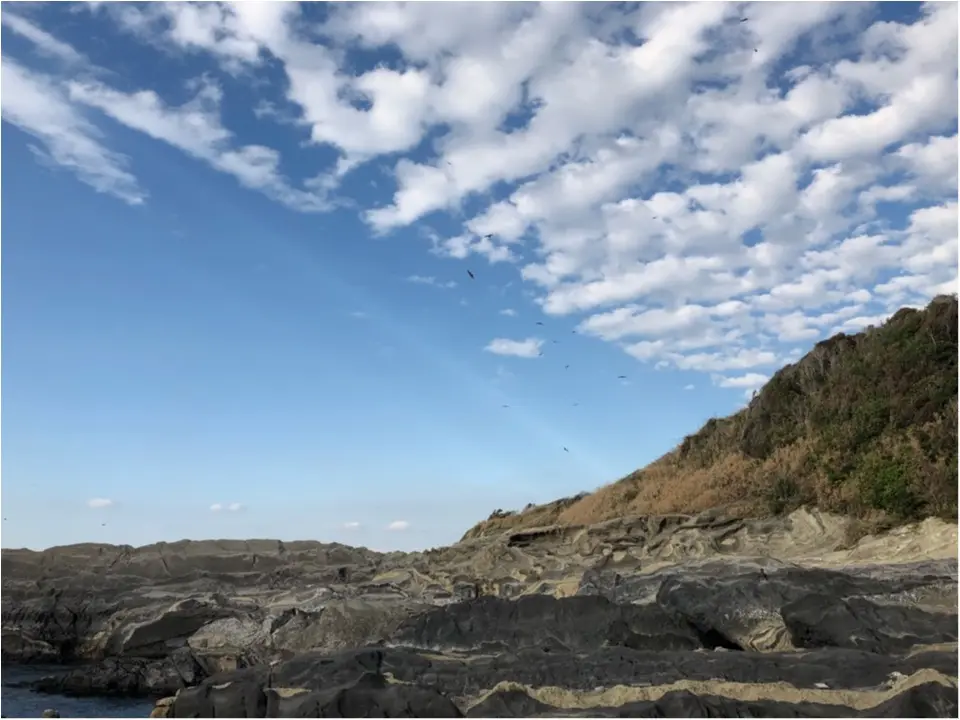 めちゃめちゃお得な「みさきまぐろきっぷ」で日帰り旅♡_4