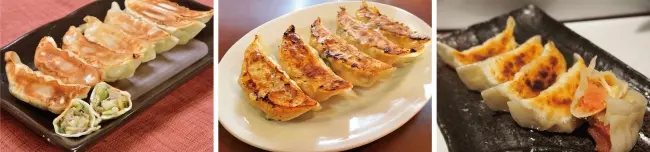 ご当地餃子にブランド牛餃子! 東京・大阪・広島で開催「餃子フェス」の会場別"絶対食べるべき絶品餃子"まとめ_3
