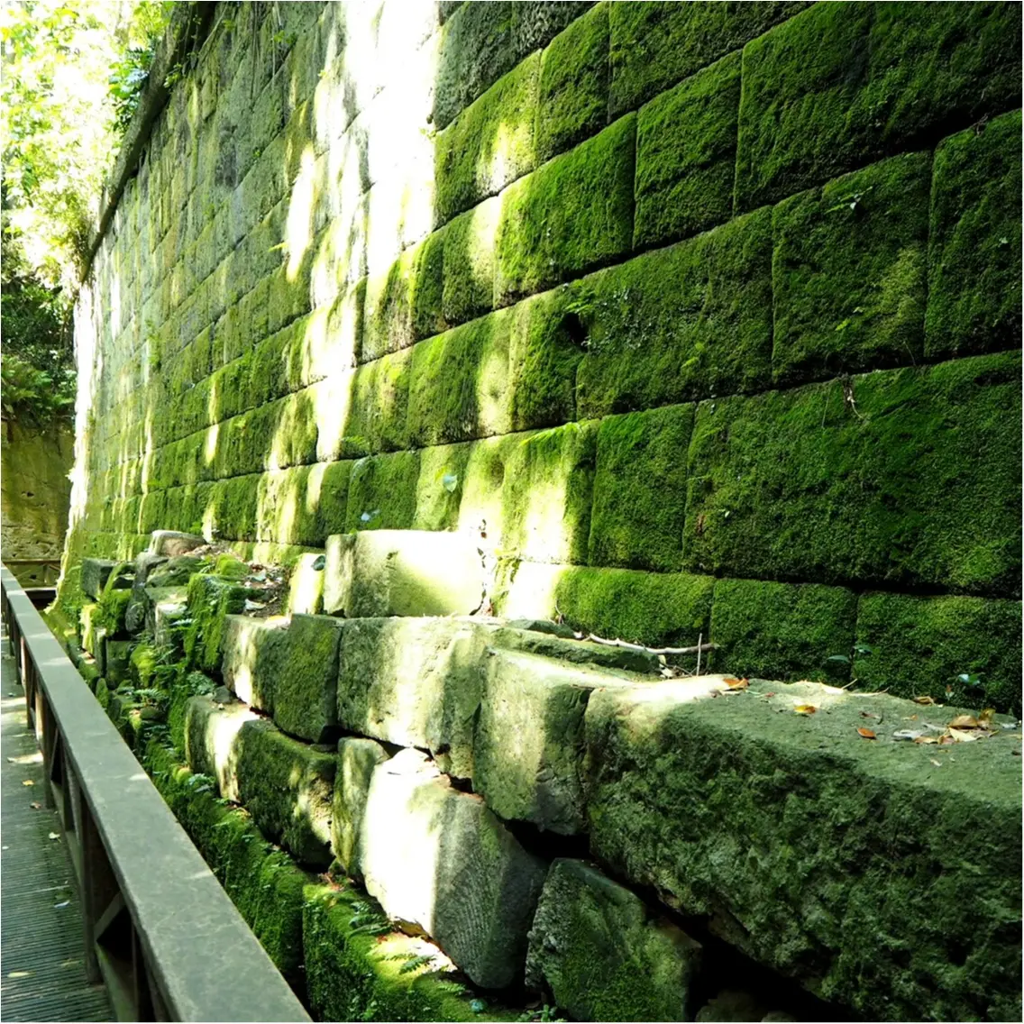 東京湾に唯一ある無人島「〇〇」に行ってきました♪_5