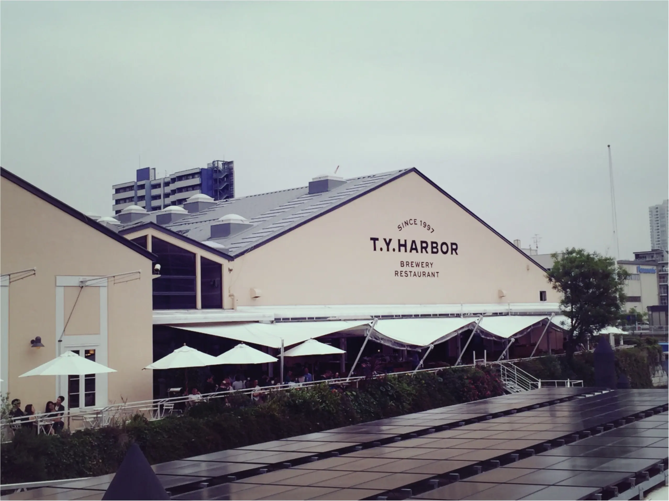T.Y.HARBOR_1