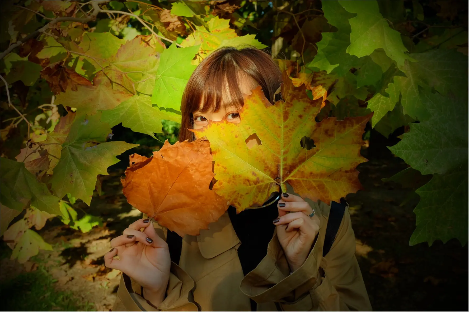 東京でも絶景の紅葉が!《新宿御苑》で秋が始められますよ〜!!フォトスポット&コーディネートも合わせてご紹介!_6