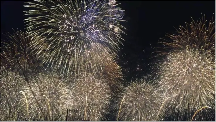【秋の花火大会】日本三大花火が関東で見れる!!今年まだ花火を見ていない人必見♡♡詳細と去年の花火大会をお伝えします♡_2