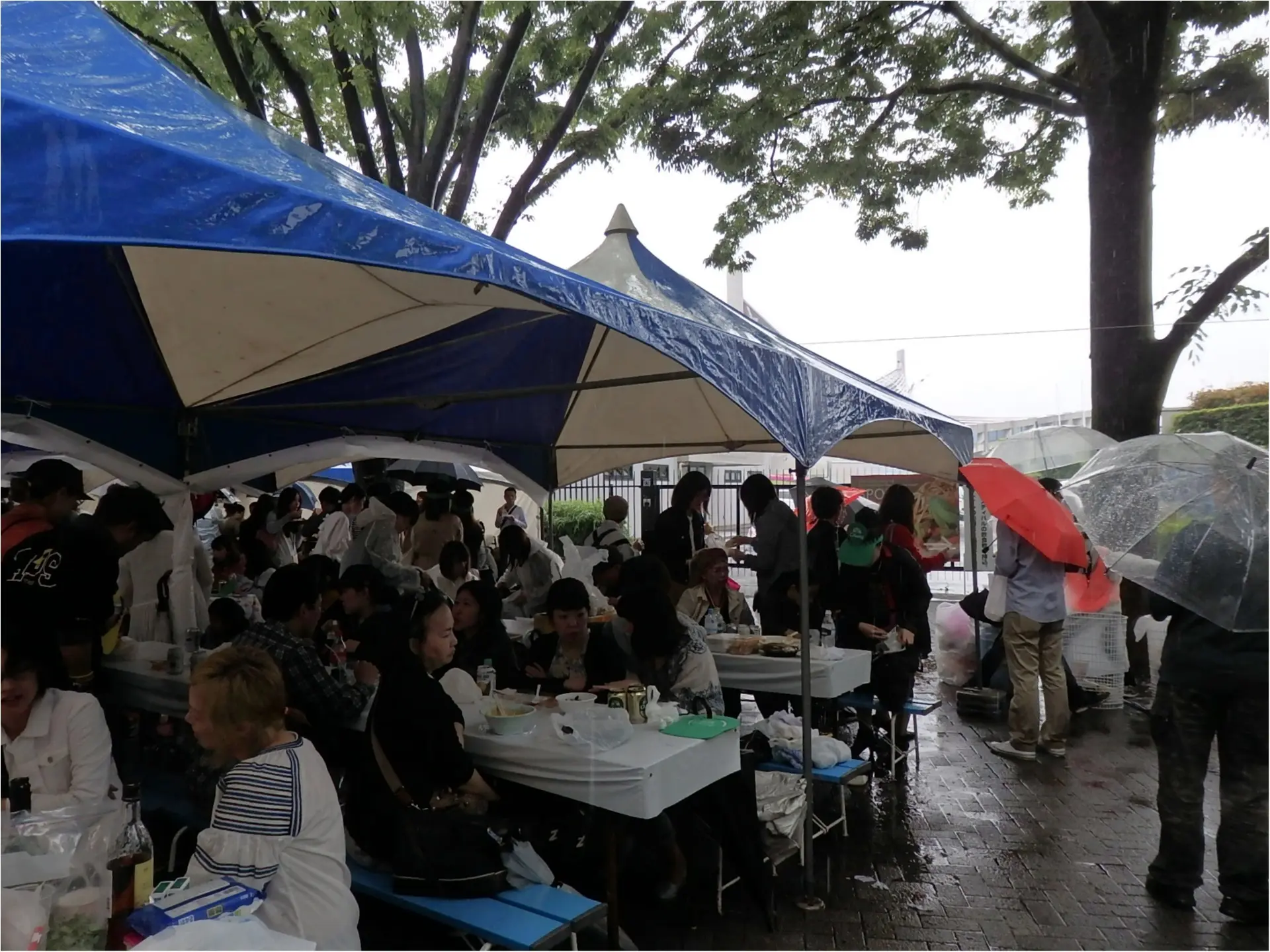速報♡タイフェス2017みどころ紹介♪_11