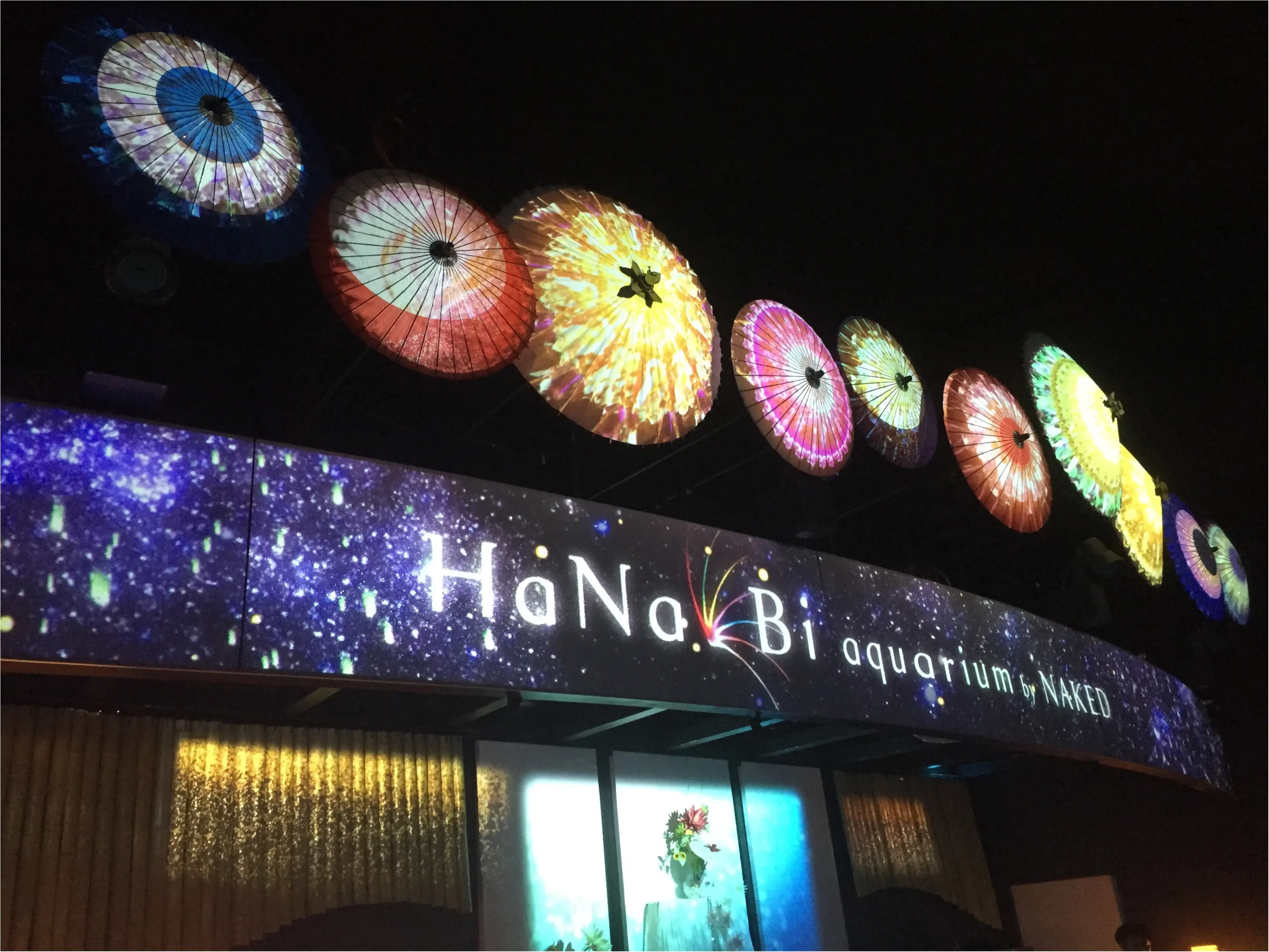 昼と夜でイルカショーが変わる!?光・音・映像と海の生き物のコラボレーション ✨《*アクアパーク品川*》の魅力☆★ _7
