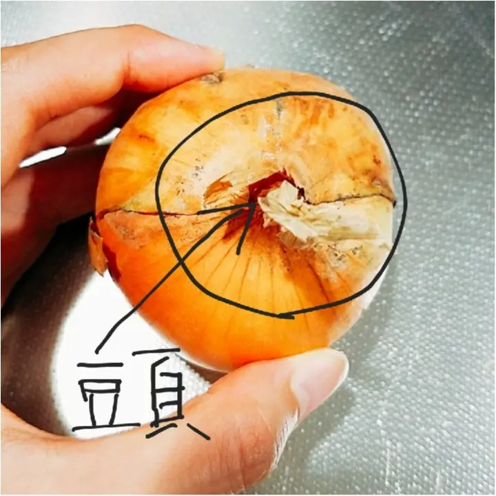 野菜情報!「野菜ジュース」は意味があるの?&野菜の見分け方!【#モアチャレ 農業女子】_3
