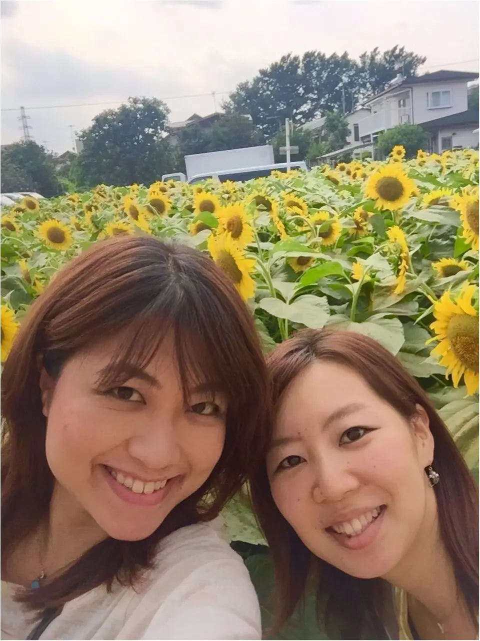 え!東京で?ステキなひまわり畑が!!!一面ひまわり\(//∇//)\_5