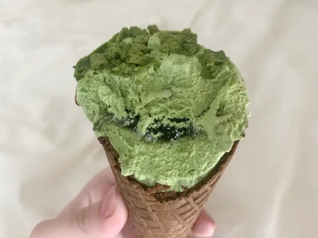 【新作アイス】抹茶好きスルー厳禁!期間限定「大人の和ごころシリーズ」が超濃厚すぎた件♡_4