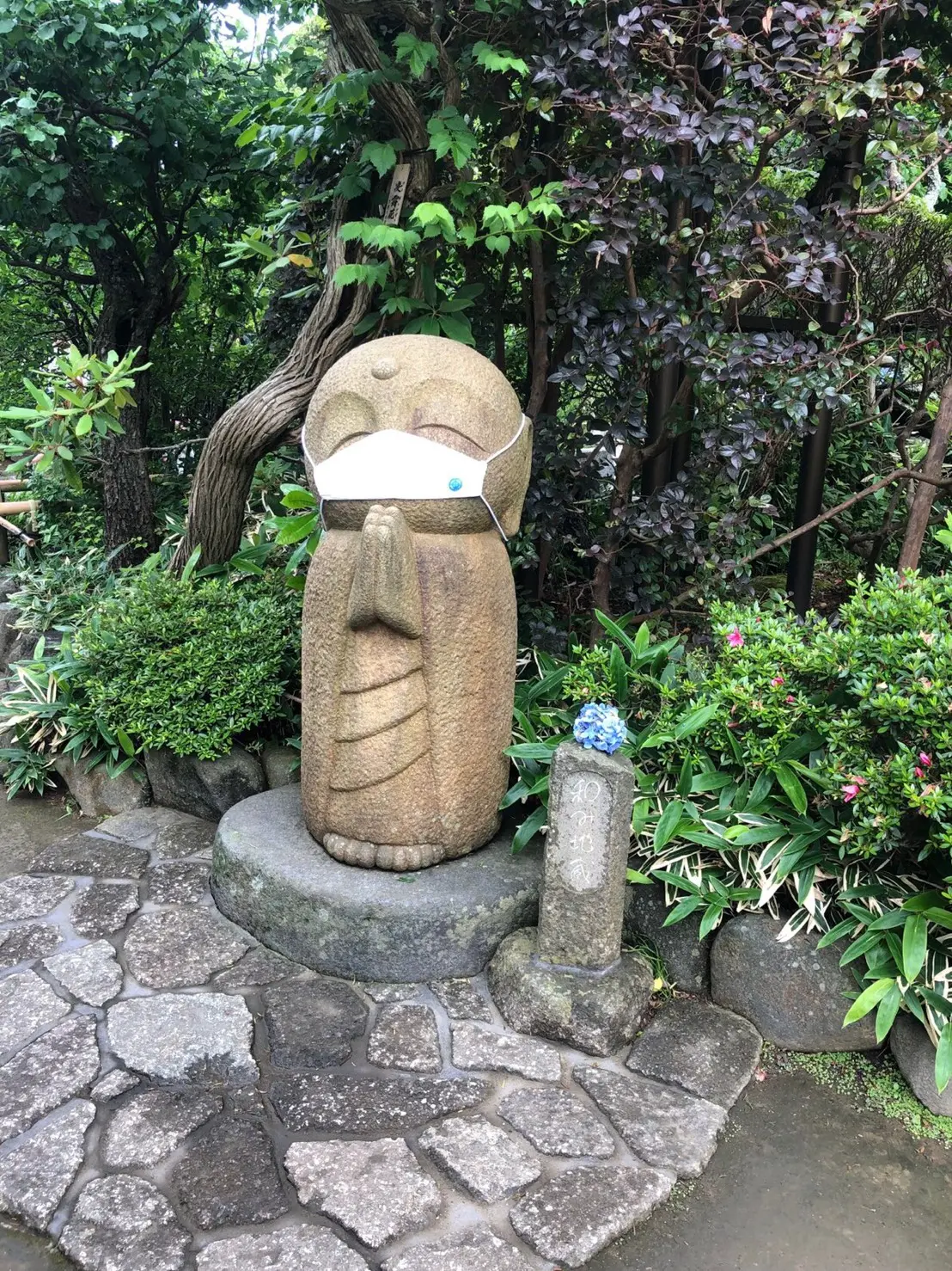 《ご利益》観音様の足に触れる✨鎌倉で観音御足参り【長谷寺】_5