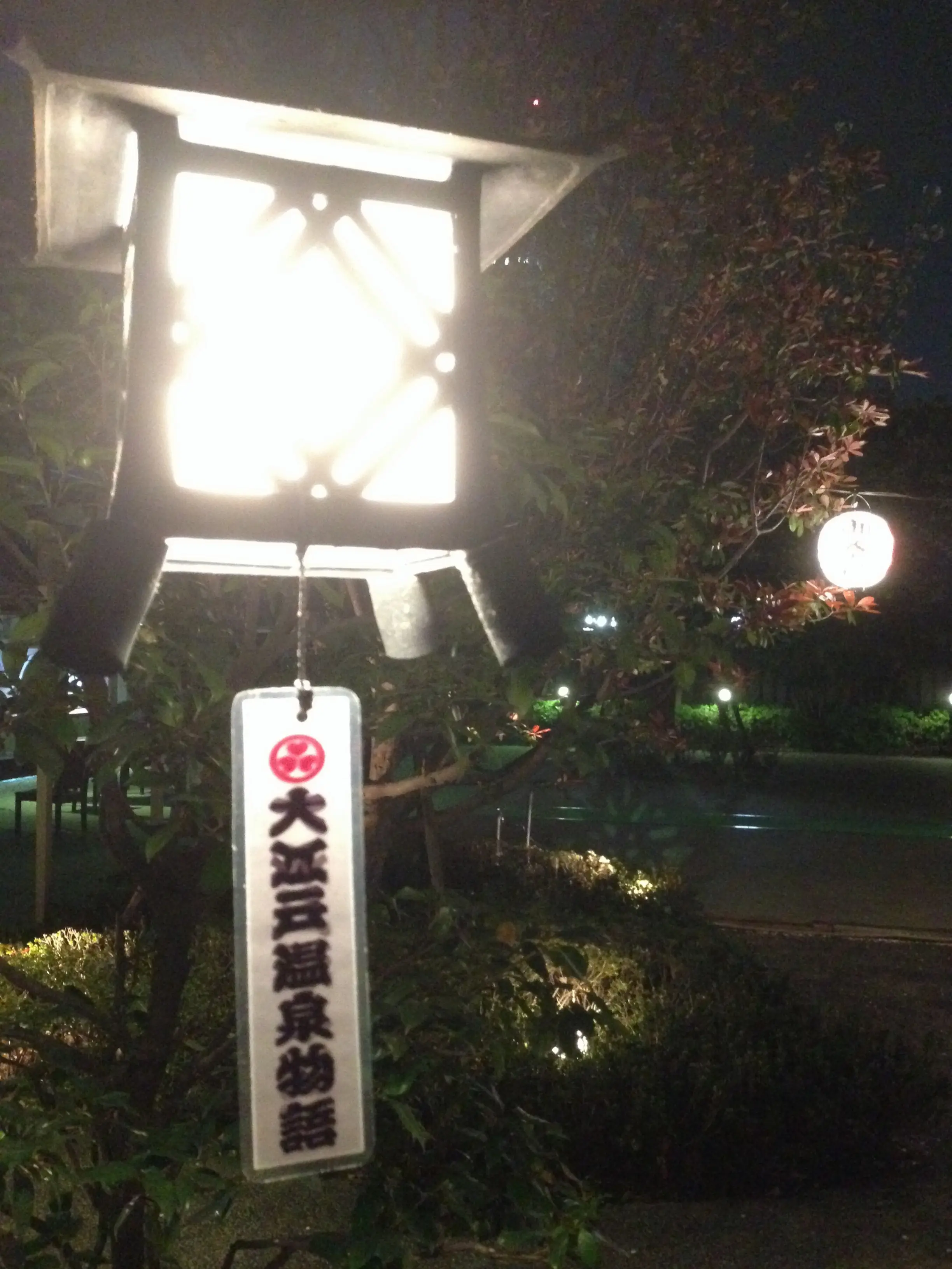 提示するだけで割引特典が受けられちゃう♬大江戸温泉はナイターがお得(ノ∀`✨))⁉️_1