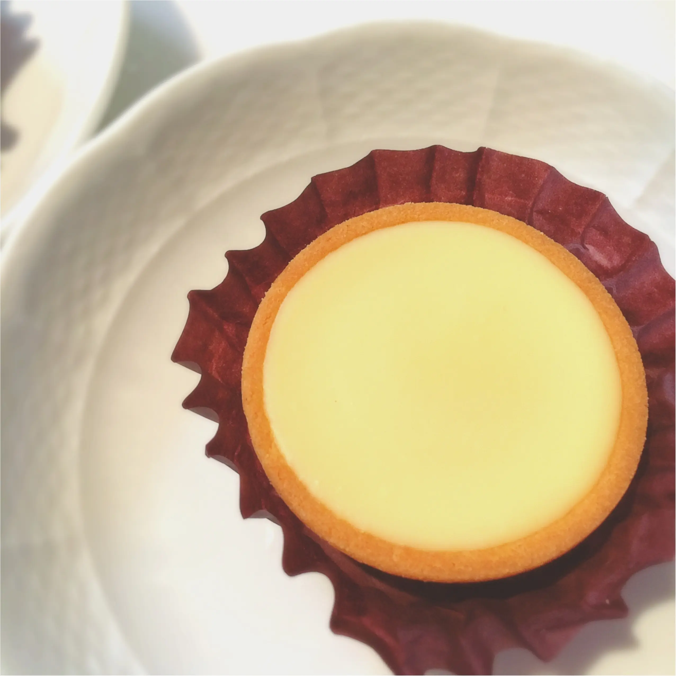nextブーム⁈ "ライフスタイルを豊かに"してくれる《生チョコレート》の専門店!【ca ca o】の"生チョコタルト"が超絶品❤️!_6