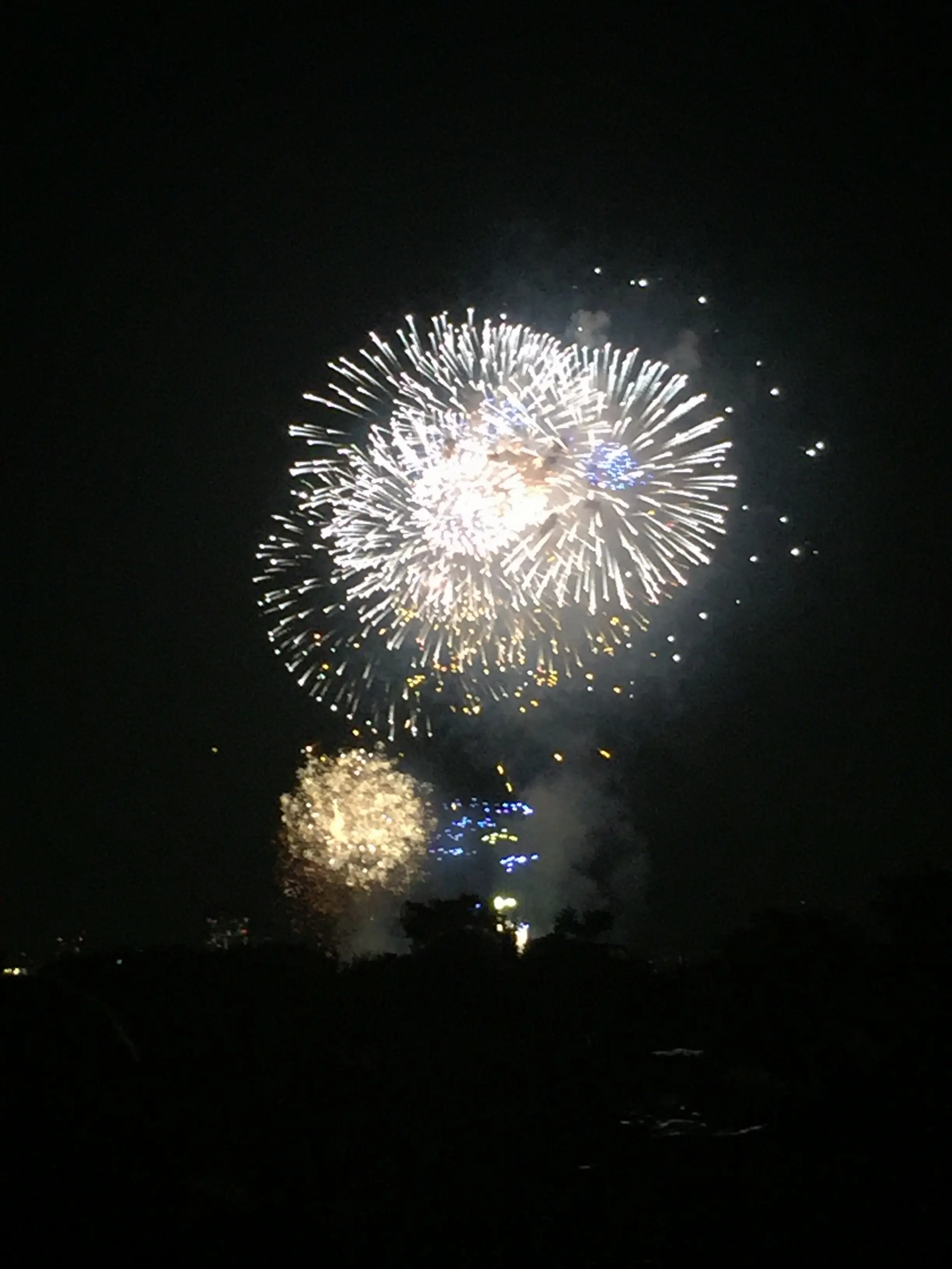 【8/6江戸川区花火大会】開始間際でも場所取り可能!迫力満点の花火を座って鑑賞できる穴場スポット♡2017年の参考に✨≪samenyan≫_2