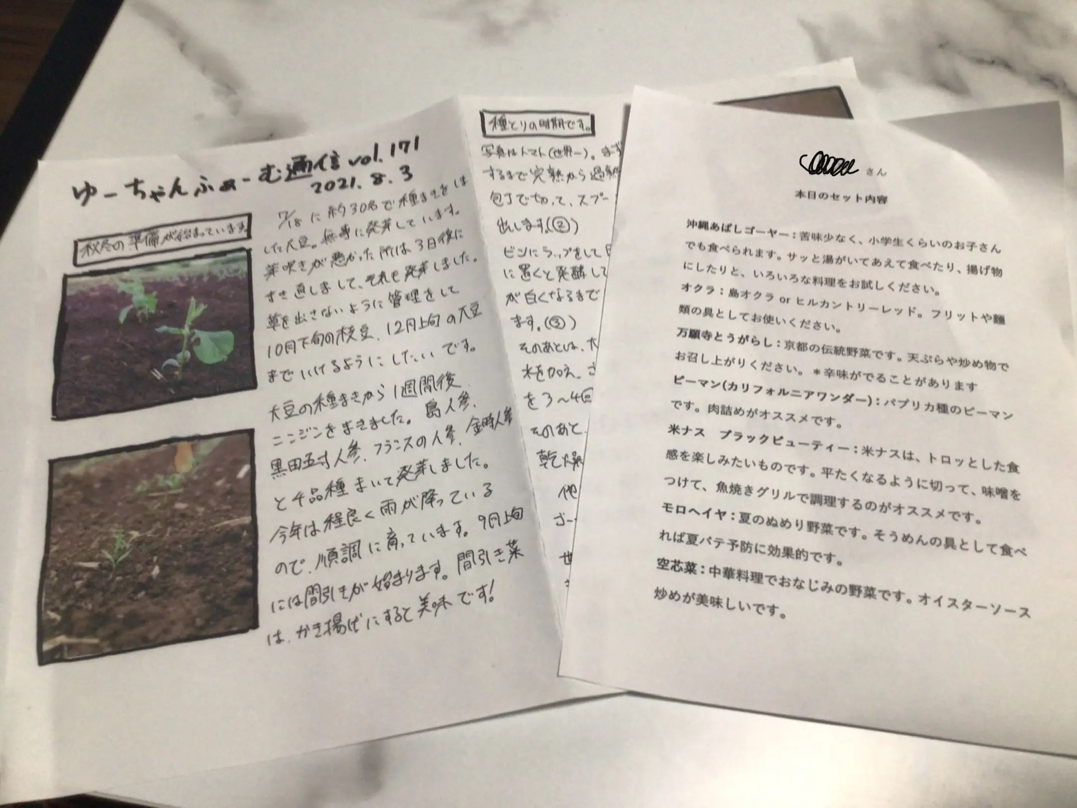 【SDGs×超簡単お料理アイデア】産地直送農産物を楽しめる食べチョクお野菜で☆_5