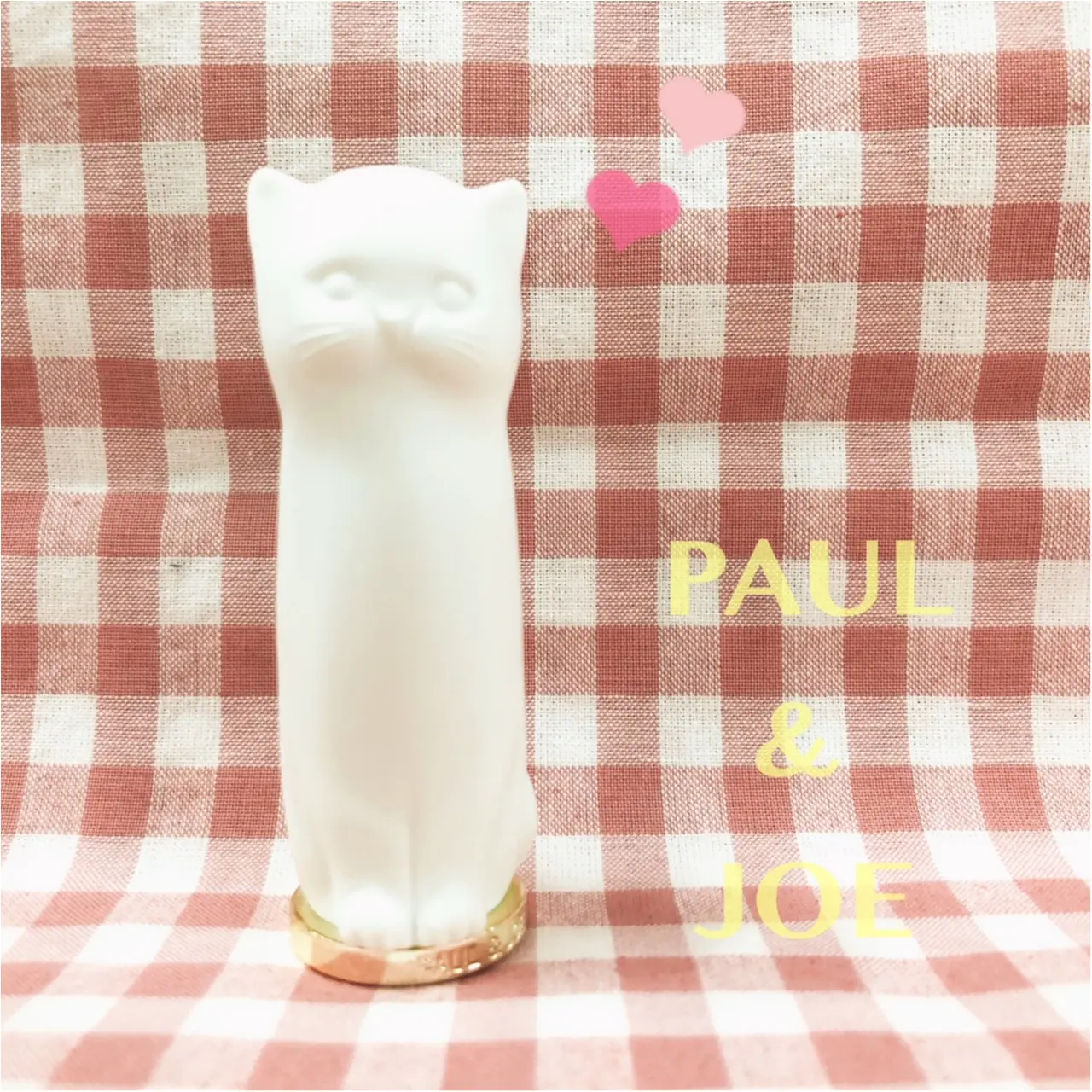 今日のにゃんこ……じゃない! 実はこれ、◯◯◯なんです♡_1