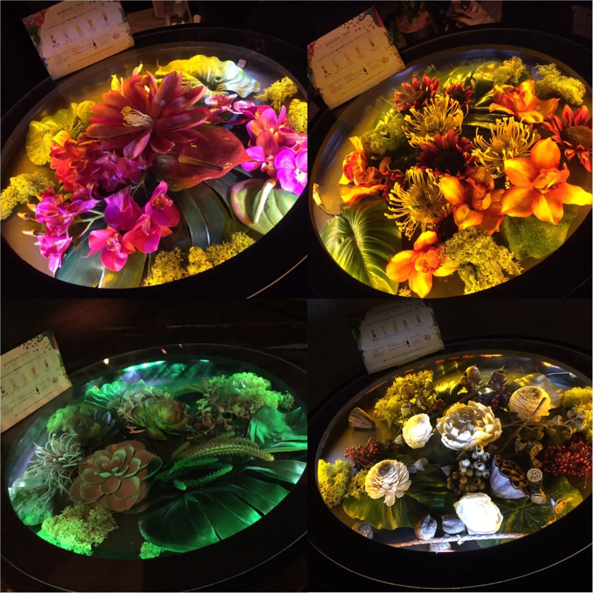【8/31まで】五感で楽しむ花の楽園《*FLOWERS BY NAKED*》に行ってきました♪♪他にもNAKEDに出会える場所を紹介☆_13