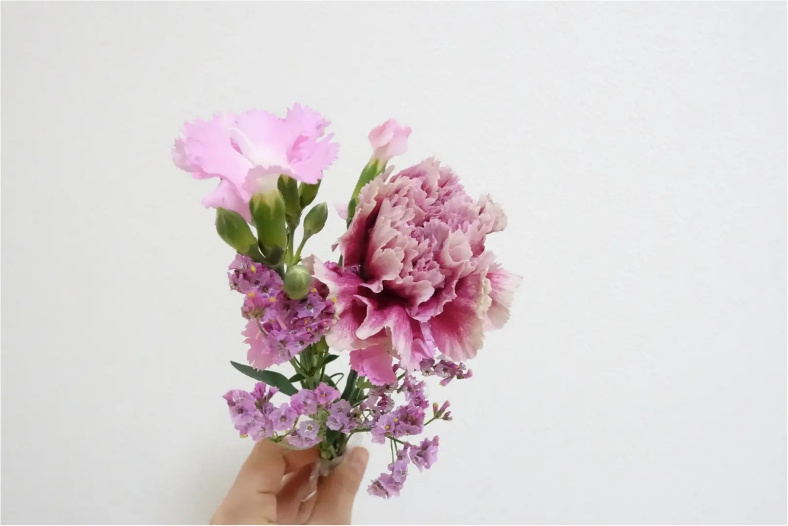 ★毎週ポストにお花が届く?!感謝の気持ちをワンコインのお花に込めて、大切なあの人に、贈り物はいかがですか??_2