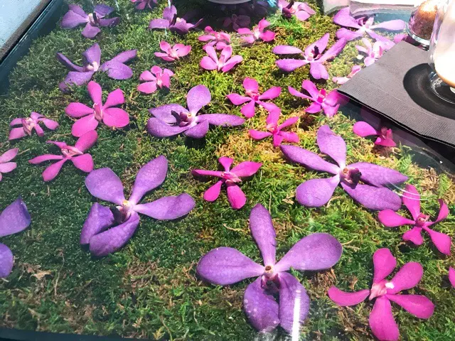 【NomuKobe】お花のテーブルで素敵なカフェを♡♡_5