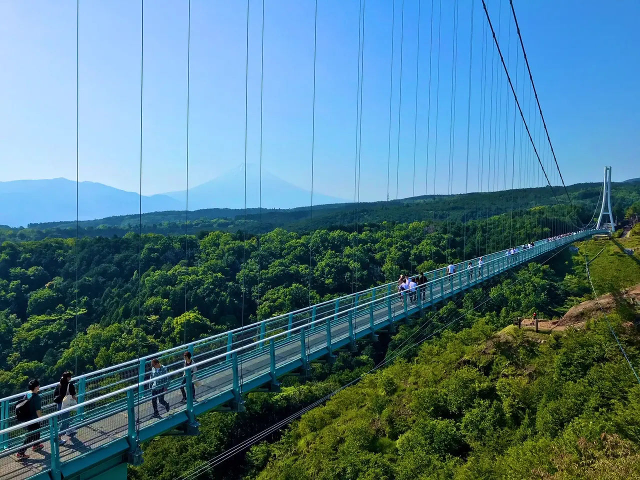 【箱根】自然と温泉とグルメを満喫する旅♨_10