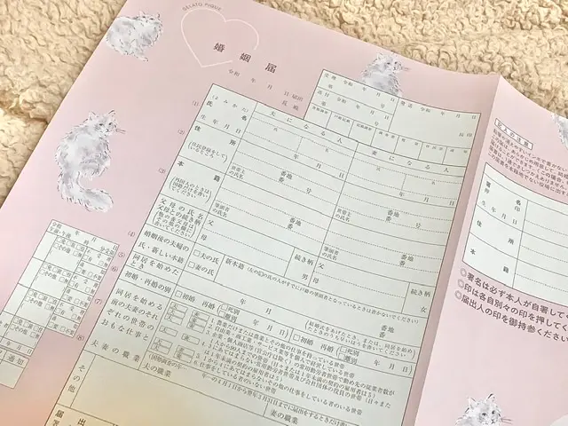 11月28日 (木)【 MORE 1月号 】特別付録は『GELATO PIQUE』豪華 3点セット_6