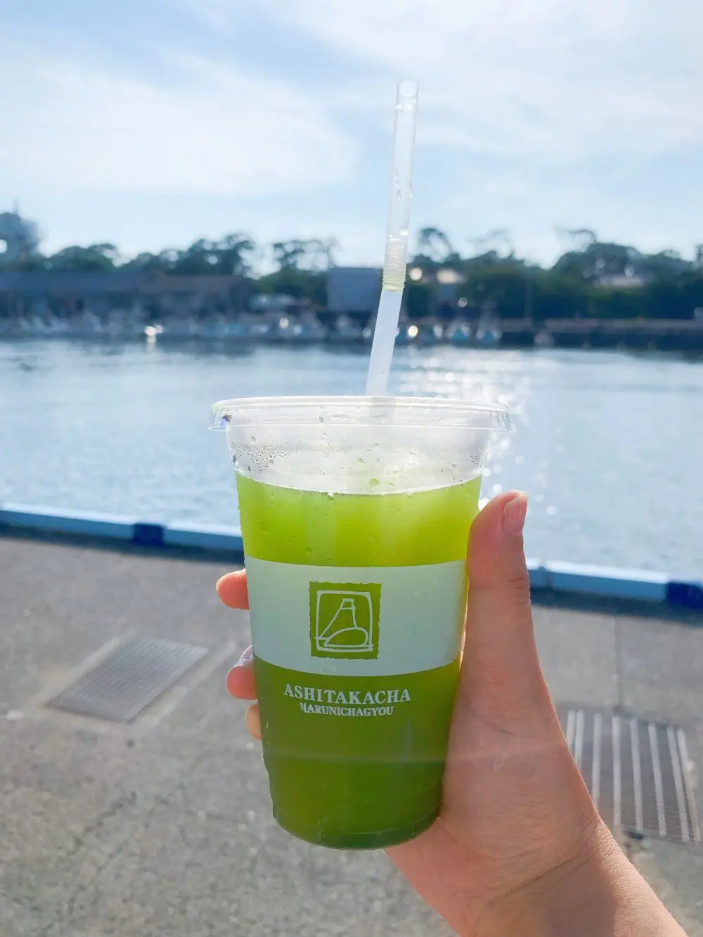 絶景! 寸又峡の「夢の吊橋」へ♪ 沼津港では海鮮丼を満喫! 【 #TOKYOPANDA のご当地モア・静岡県編】_7