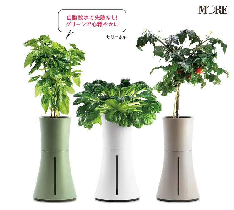 『ボタニアムジャパン』の「ボタニアム」