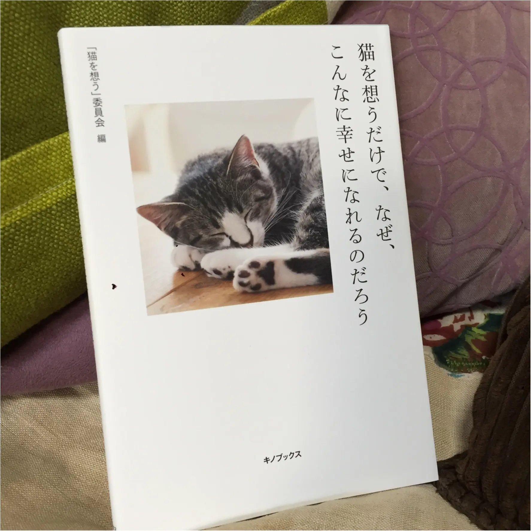 猫を想うと幸せになる。_1