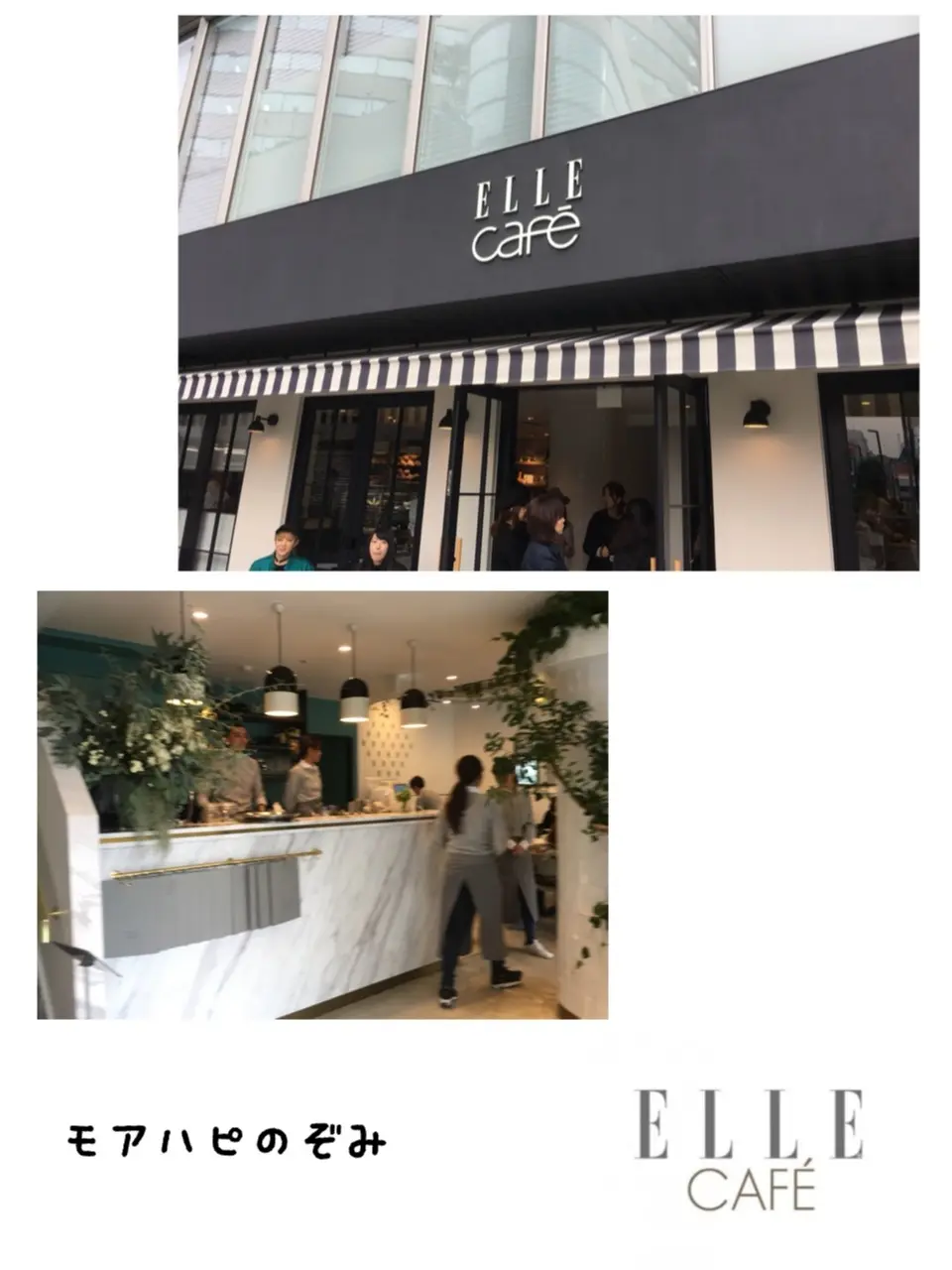 ♡11/11グランドオープン【ELLE café 青山店】プレオープンへ♡モアハピ◡̈のぞみ♡_3