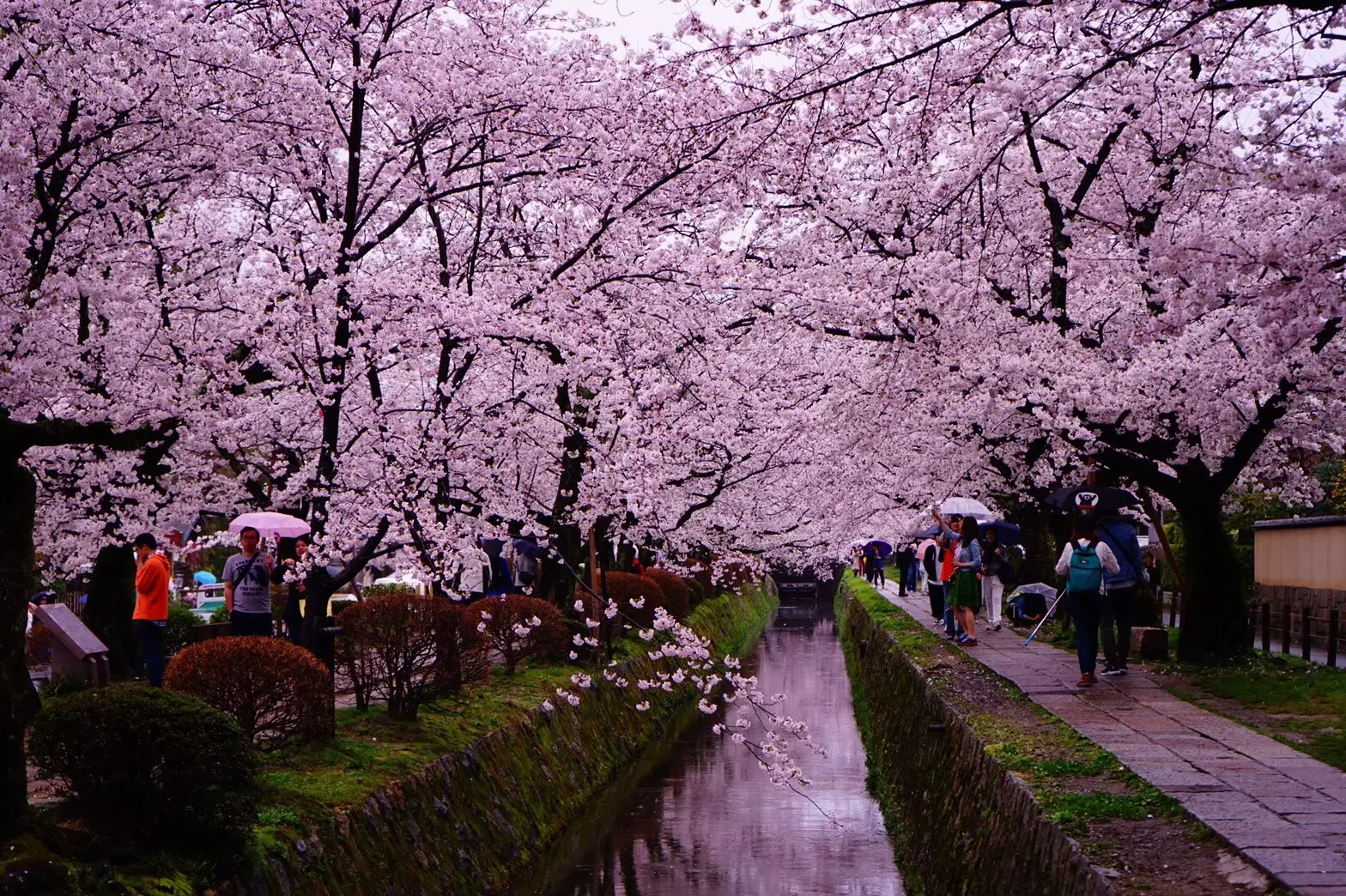【女子旅におすすめ】京都で体験して最高だったベストメモリーまとめ♡_19