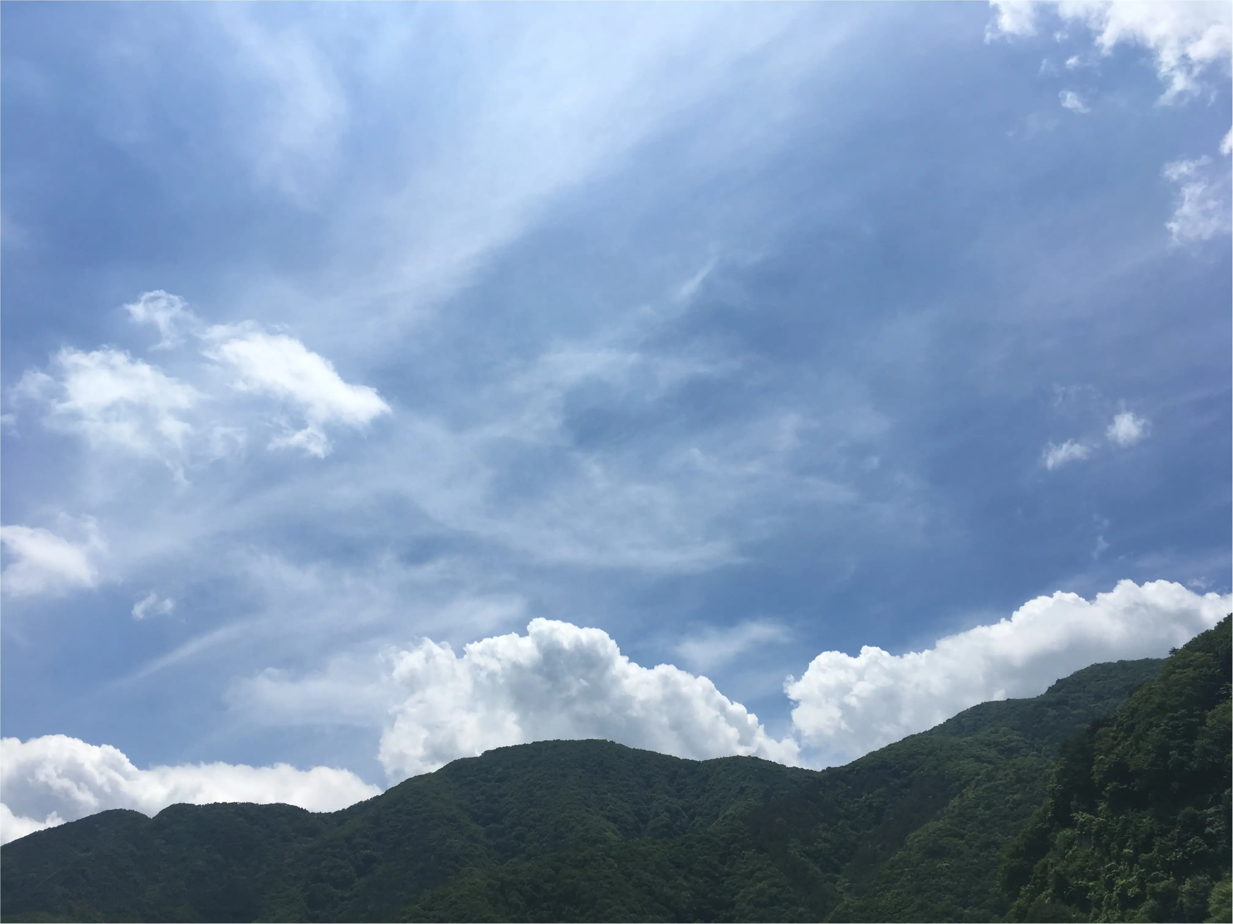 都内から1時間半で行けちゃう✰SNS映えするかわいいサクランボ✰オススメさくらんぼ狩りスポットとは・・_7
