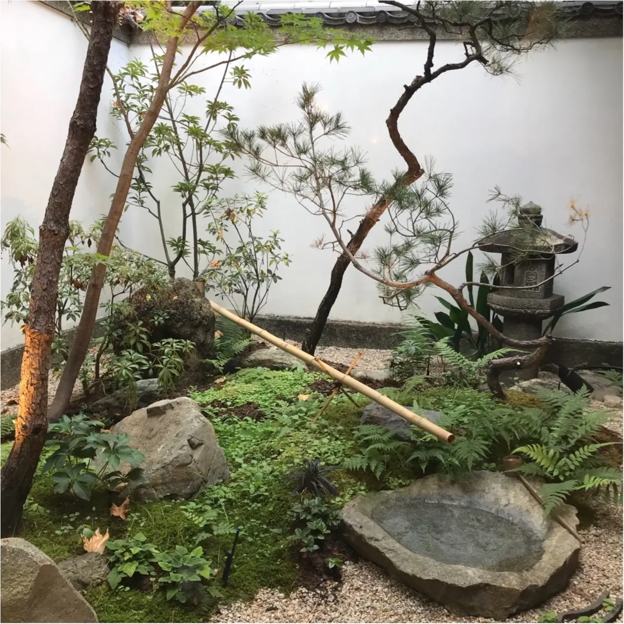 【京都】秋の風情を感じながらふわふわのパンケーキ❤︎_3