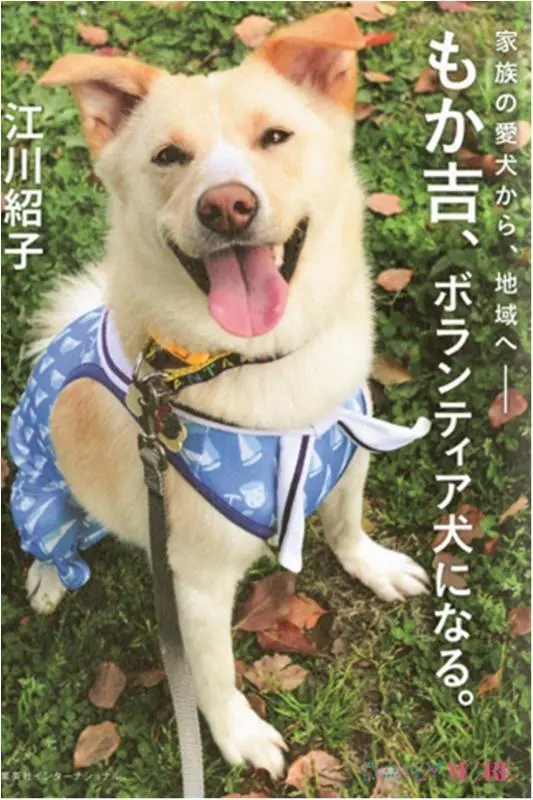 今月のオススメ★BOOK 『坂の途中の家』『もか吉、ボランティア犬になる。』_2