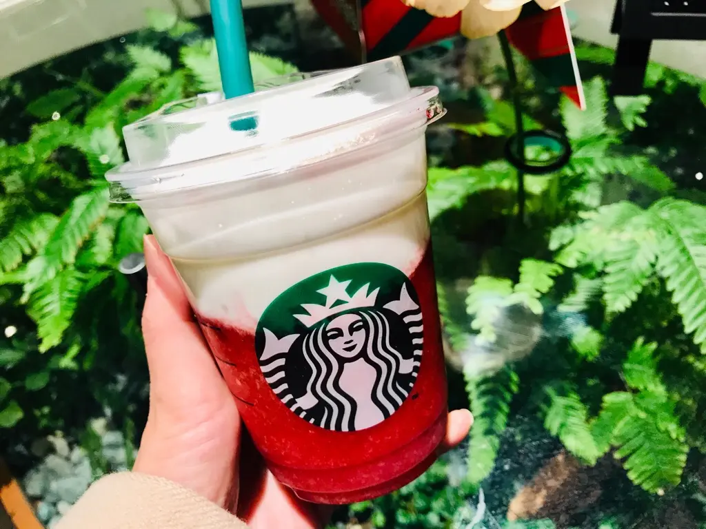 【スタバ】2店舗限定!新感覚★《ティバーナフルーツスムーティー》が美味しすぎた♡_3