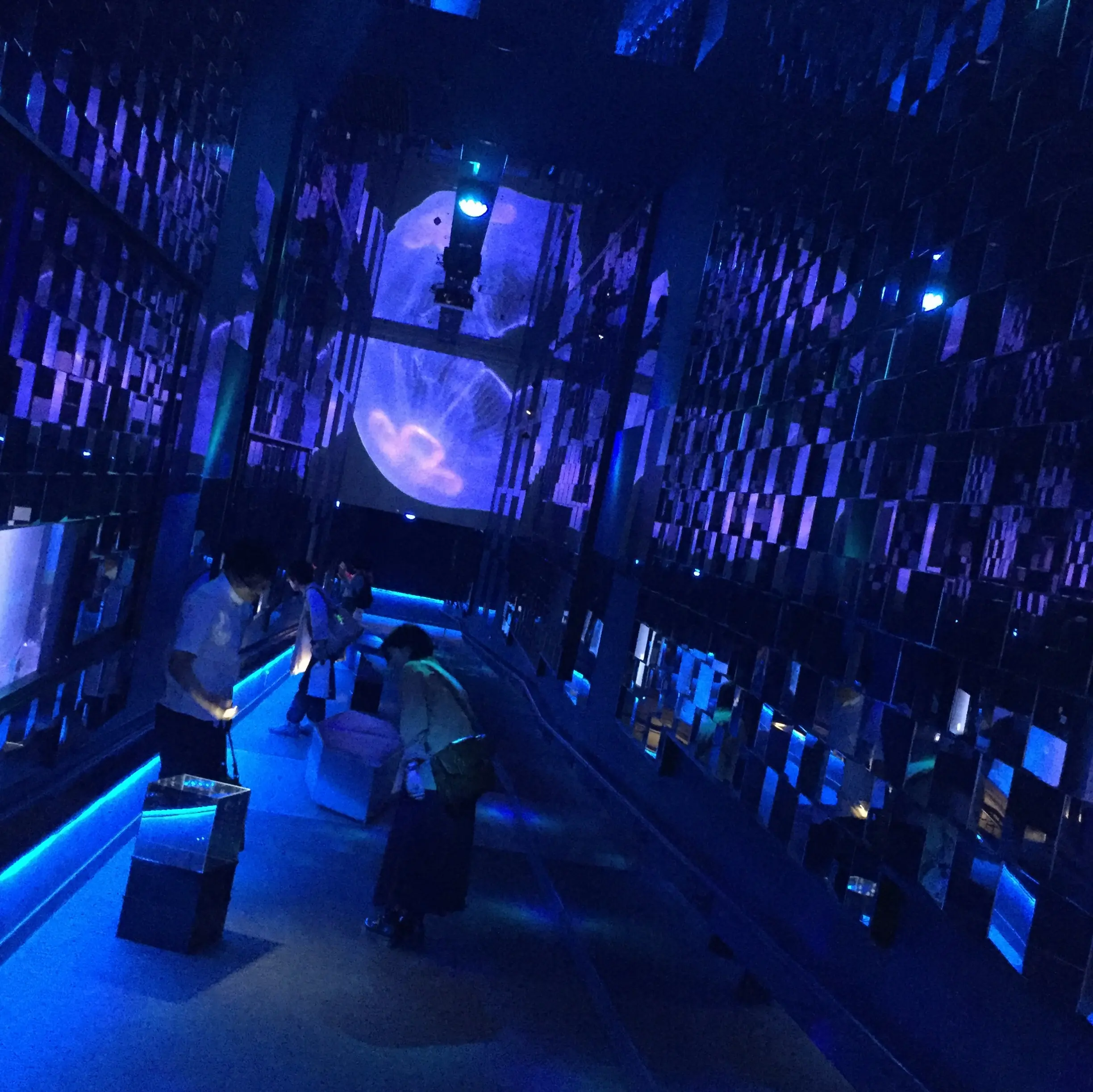 【6/18まで】すみだ水族館のスペシャルコラボ✨期間限定『ほたるの夜』でロマンチックな夜を♪♪ _6