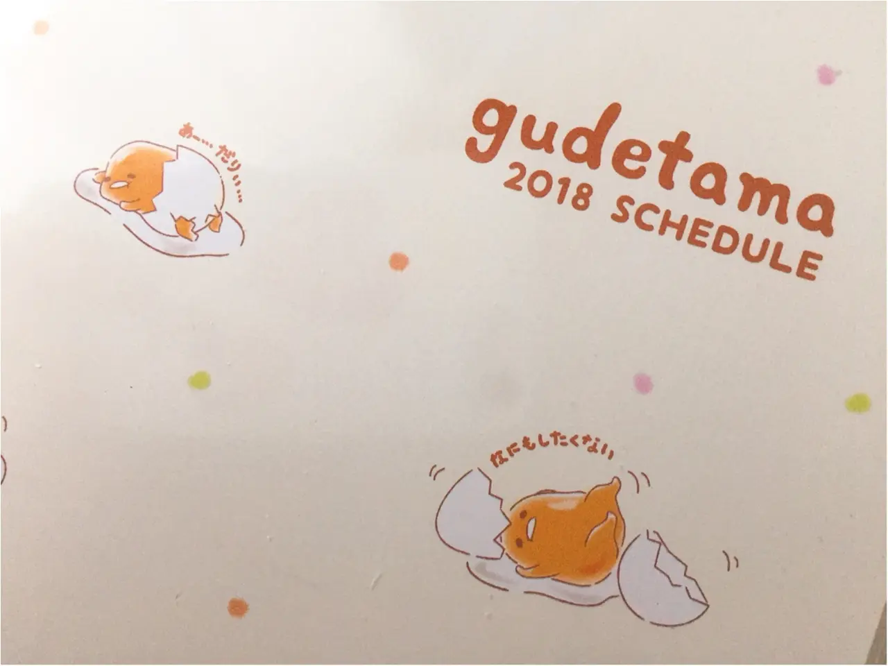 2018年のスケジュール帳はどうする?【ダイソー】のスケジュール帳グッズが種類豊富で可愛くて実用的でとにかくすごい!!_5