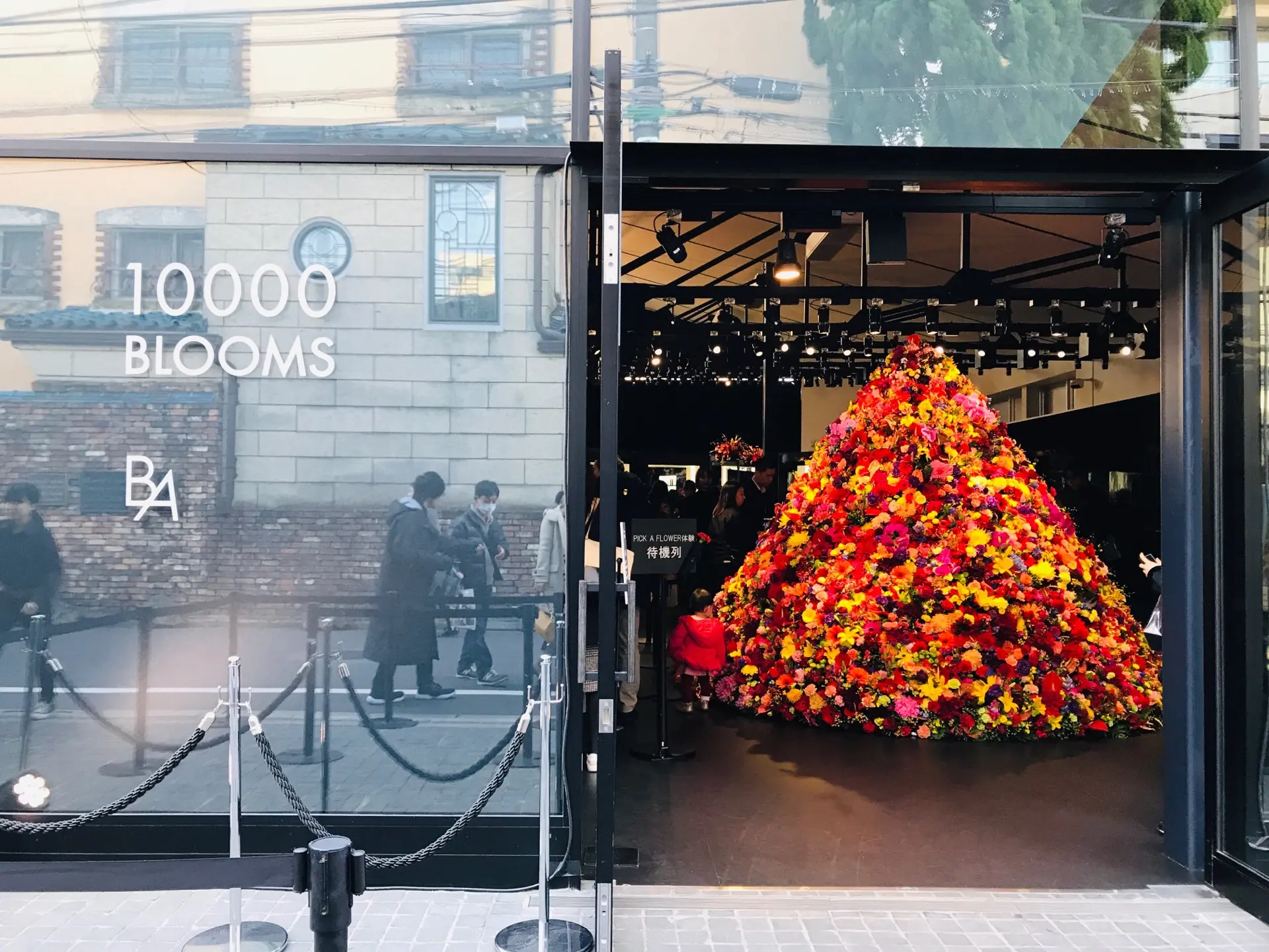 【POLA】1万輪のフラワーツリーがお出迎え!「B.A」体感イベントに行ってきました♡_1