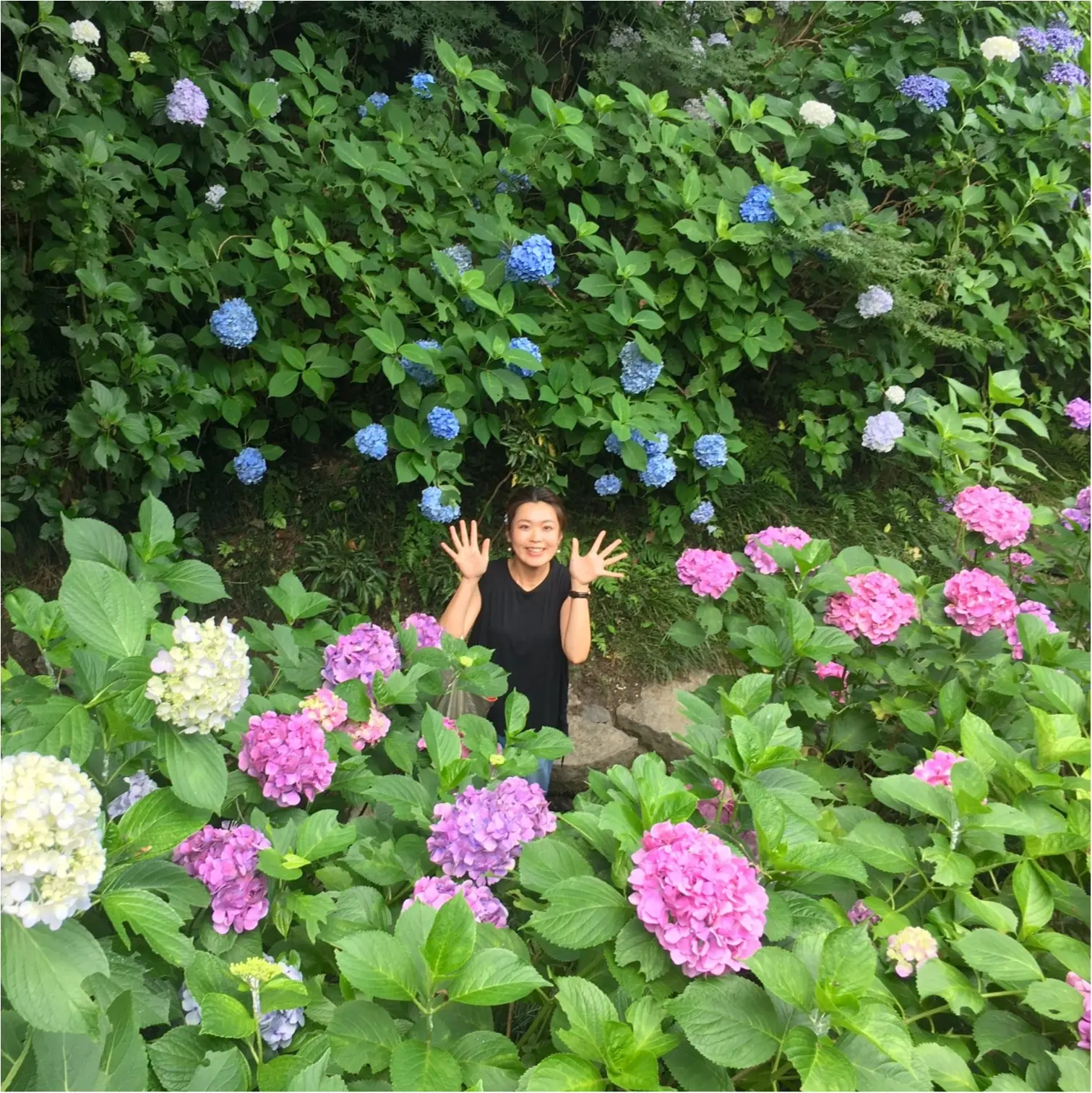 【\\あじさい寺//】まだ間に合います!奈良のおすすめスポット♡矢田寺をご紹介♪_4