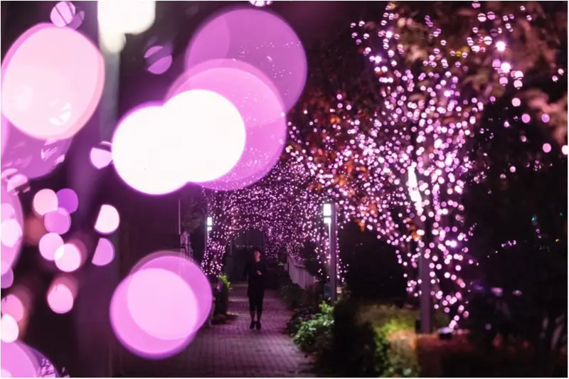 東京都内のおすすめイルミネーション、表参道、恵比寿、お台場etc.11選☆彡 記事Photo Gallery_1_13
