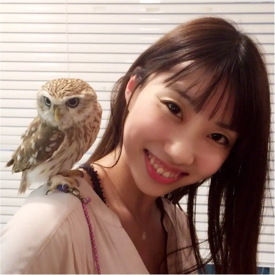 週末の疲れに癒しを...手乗りサイズがかわいすぎる♡【*ふくろうカフェ*】の写真たち☺︎_2