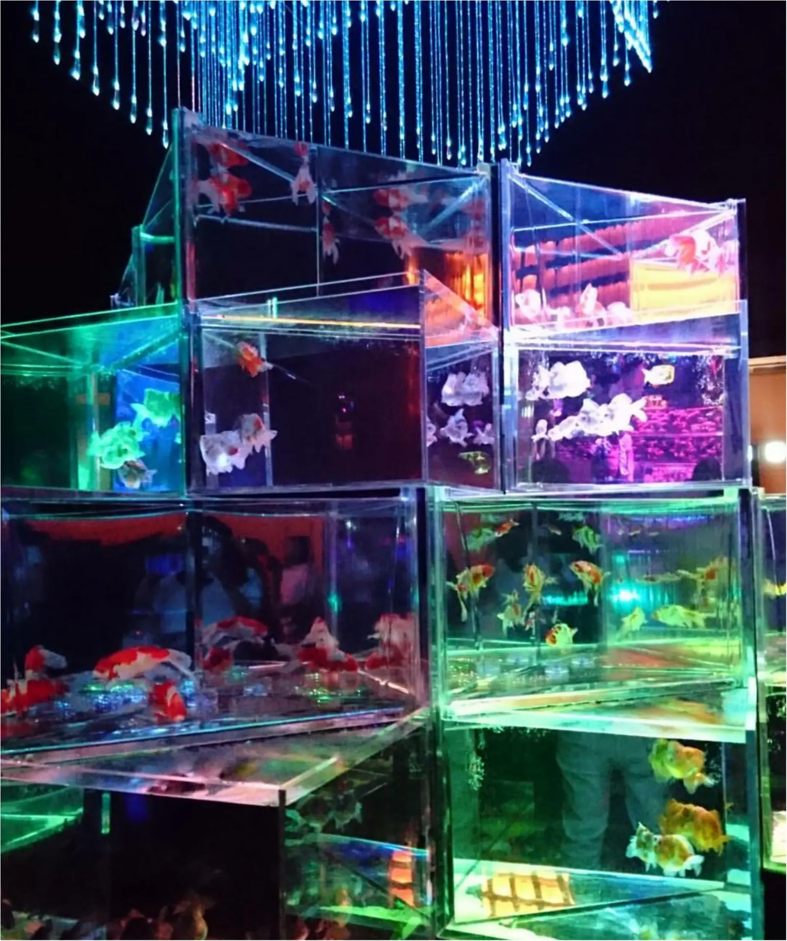 暑い夏にぴったり♡アートアクアリウム展に行ってきました★★_1