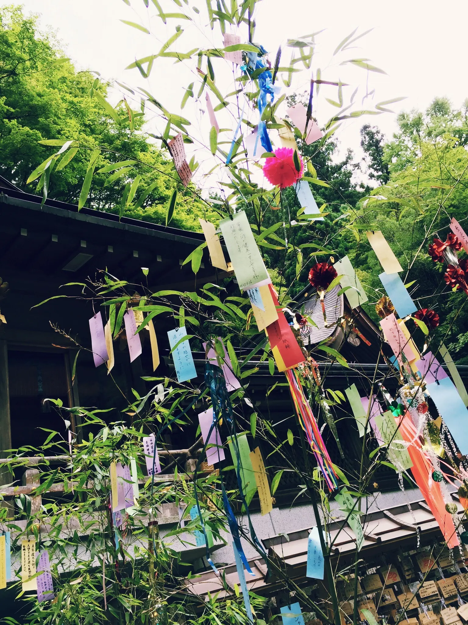 貴船神社で茅の輪くぐり。2015年は、あと半年もあります!byマツジュン_2