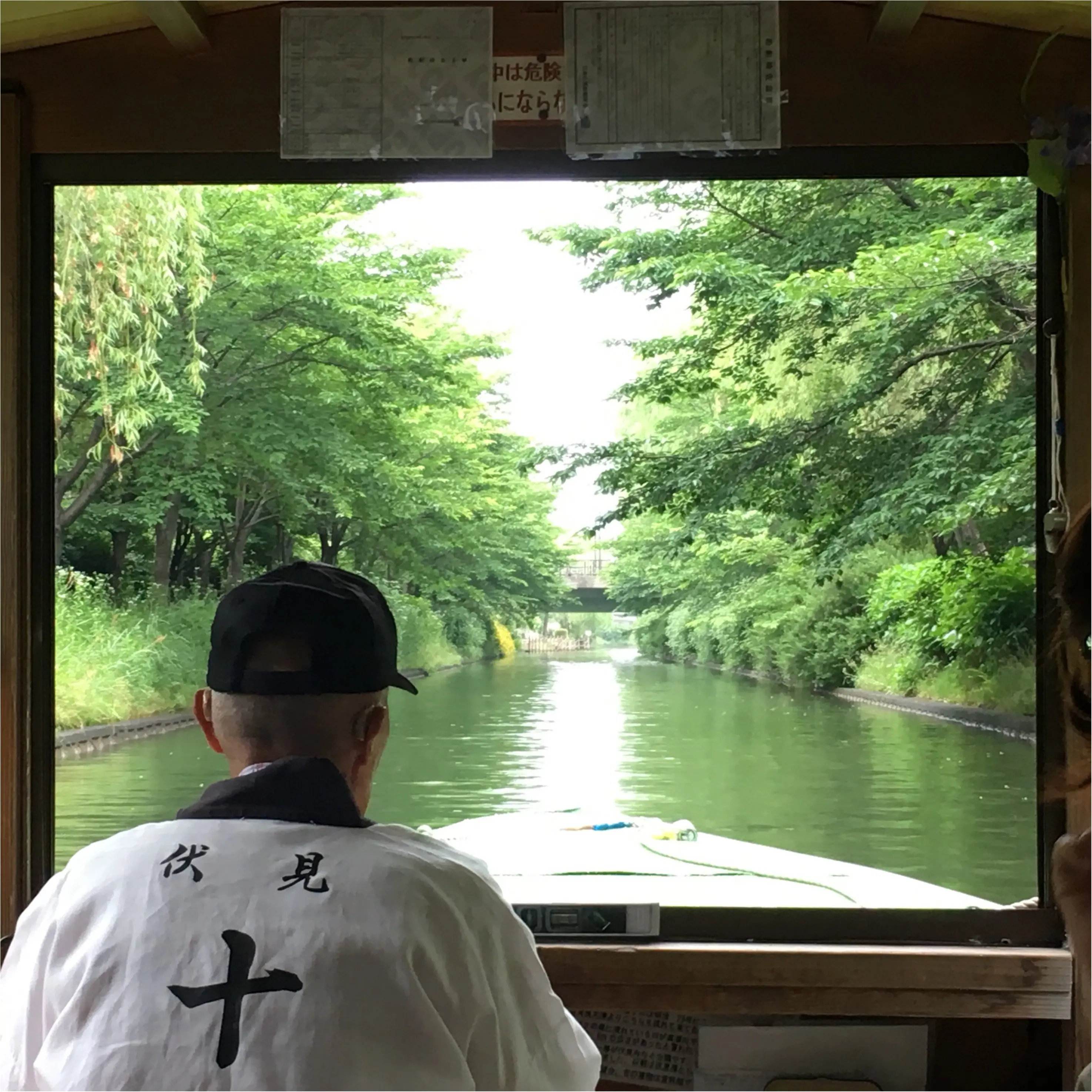 【京都TRIP✳︎】京都に来たなら絶対行くべし!伏見十石舟でゆらゆら♪まったりデート♡_3